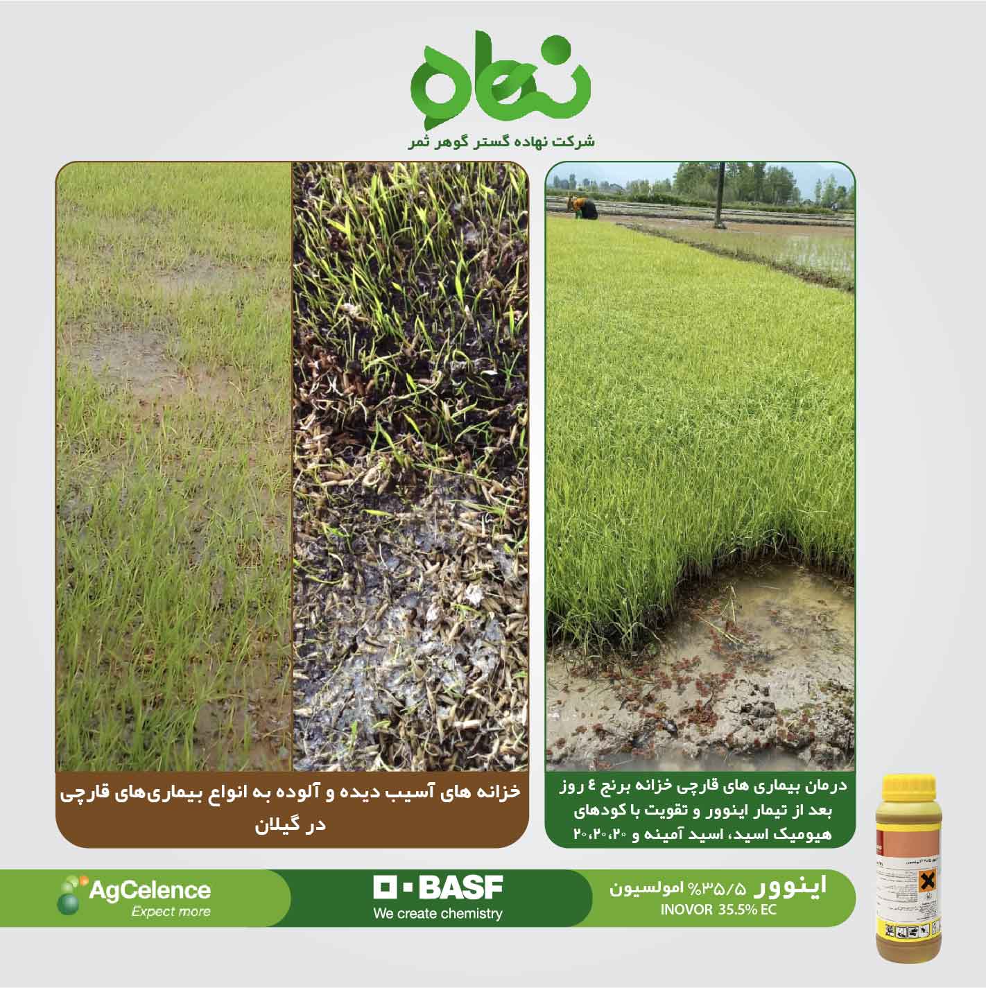 رضایت مشتری از اینوور